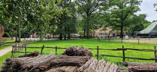 Bokrijk 20/07/2024