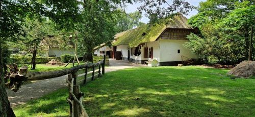 Bokrijk 20/07/2024