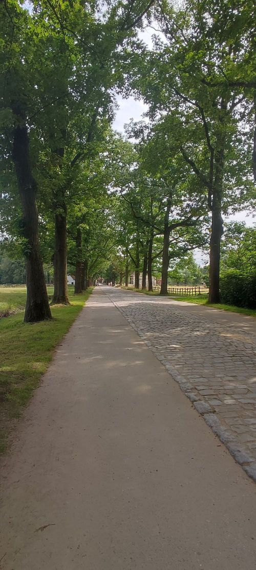 Bokrijk 20/07/2024