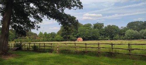 Bokrijk 20/07/2024