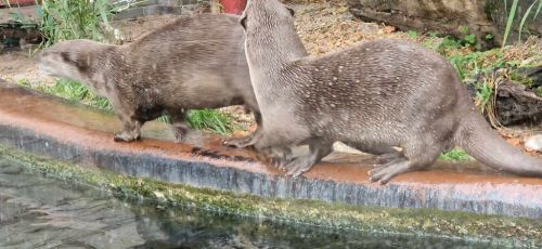 Voyage des Bnvoles du club du 27/09/2024