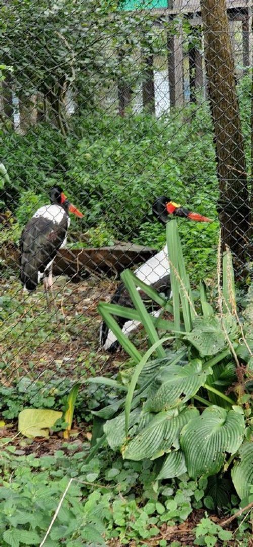 Voyage des Bnvoles du club du 27/09/2024