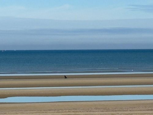 28.09.25 Voyage d'un jour  Bray-Dunes
