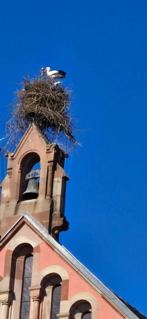 16.03 au 20.03.2026 Voyage dans les Voges et Alsace