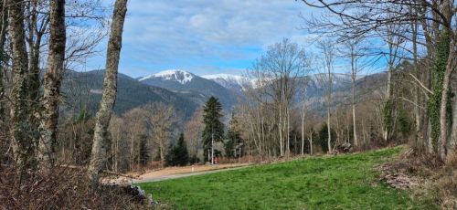 16.03 au 20.03.2026 Voyage dans les Voges et Alsace