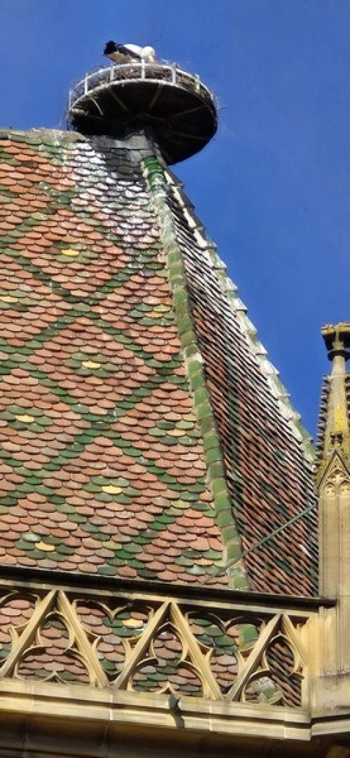 16.03 au 20.03.2026 Voyage dans les Voges et Alsace