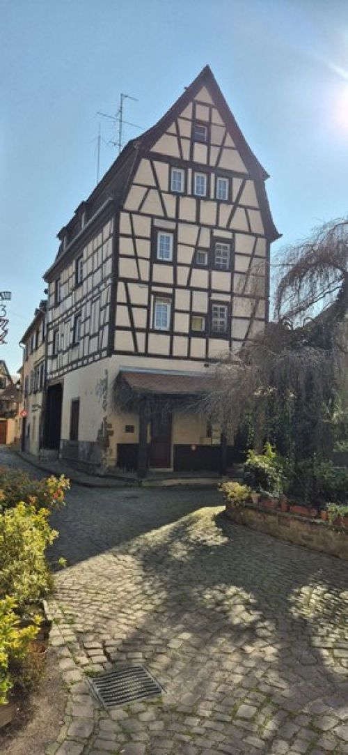 16.03 au 20.03.2026 Voyage dans les Voges et Alsace