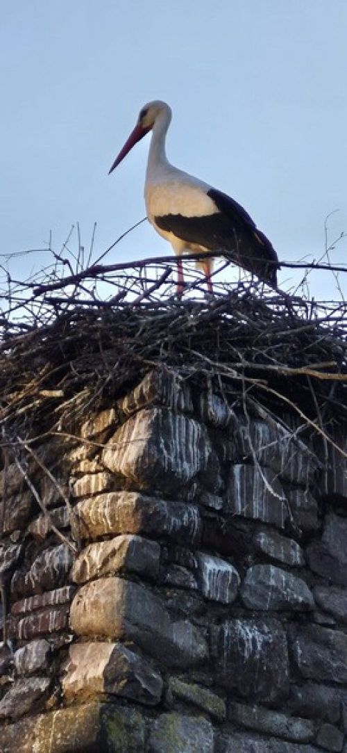 16.03 au 20.03.2026 Voyage dans les Voges et Alsace