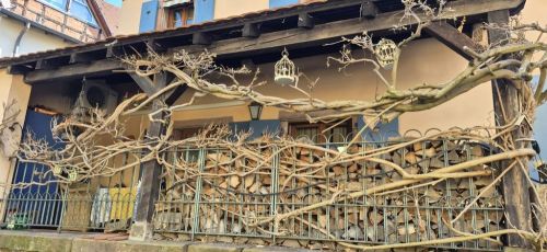 16.03 au 20.03.2026 Voyage dans les Voges et Alsace