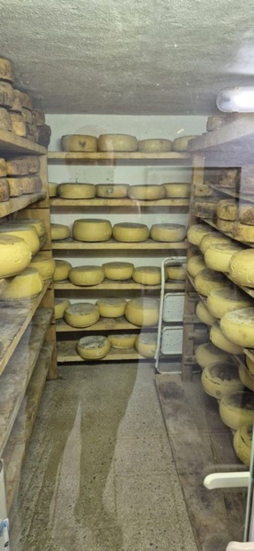 16.03 au 20.03.2026 Voyage dans les Voges et Alsace