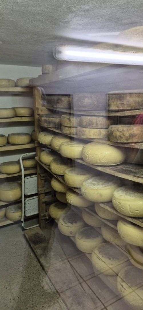 16.03 au 20.03.2026 Voyage dans les Voges et Alsace