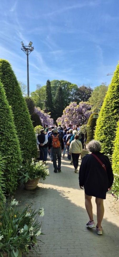 26.04.26 voyage Leuven
